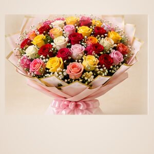 600 Multicolour Rose Grand Korean Bouquet